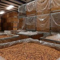 Almonds, California sweet almonds